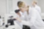 Scientist using microscope